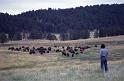 Phyllis at Custer St Park South Dakota Summer 1983
